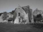 Image: Brockeridge Common Ruin